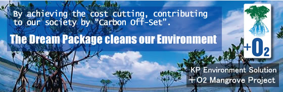 The Dream Package that cleans our Environment
