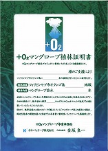 +O2 Mangrove afforestation certificate