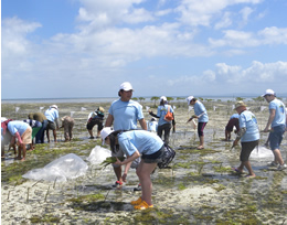 Mangrove planting activity