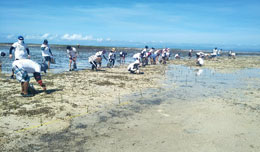 Banacon Island, Getafe, Bohol -4