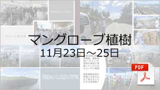 マングローブの植林活動の報告 PDF