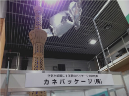 Sky Tree made by corrugated sheet and the mysterious fish?!