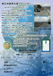 Support for reconstruction of the earthquake-affected area project