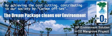 The Dream Package that cleans our Environment